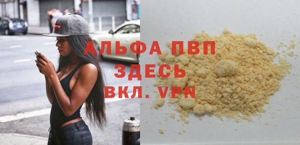 гашик Белокуриха