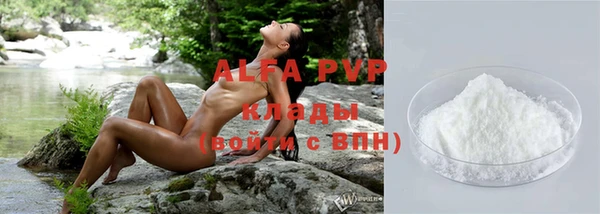 гашик Белокуриха