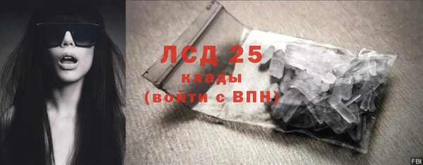 гашик Белокуриха