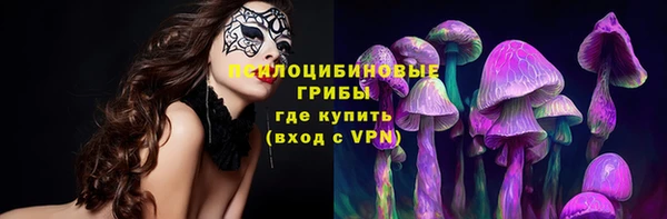 спайс Беломорск