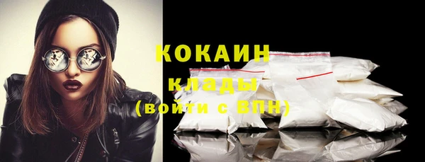 гашик Белокуриха