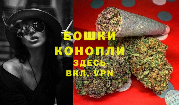 гашик Белокуриха