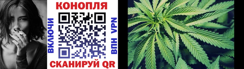 Каннабис ГИДРОПОН  сколько стоит  Боготол 